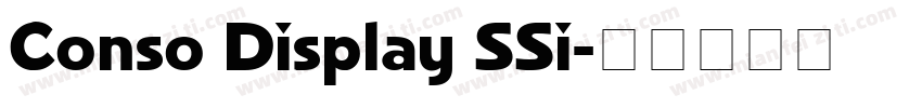 Conso Display SSi字体转换